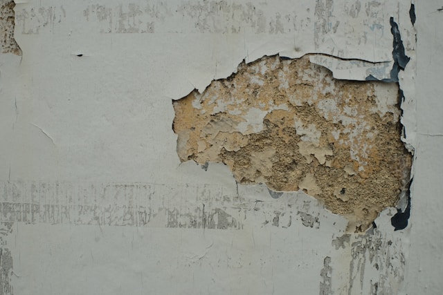 Drywall Repair 